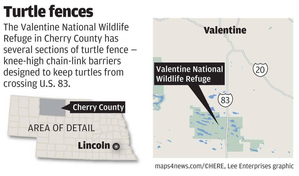 Turtle fences map